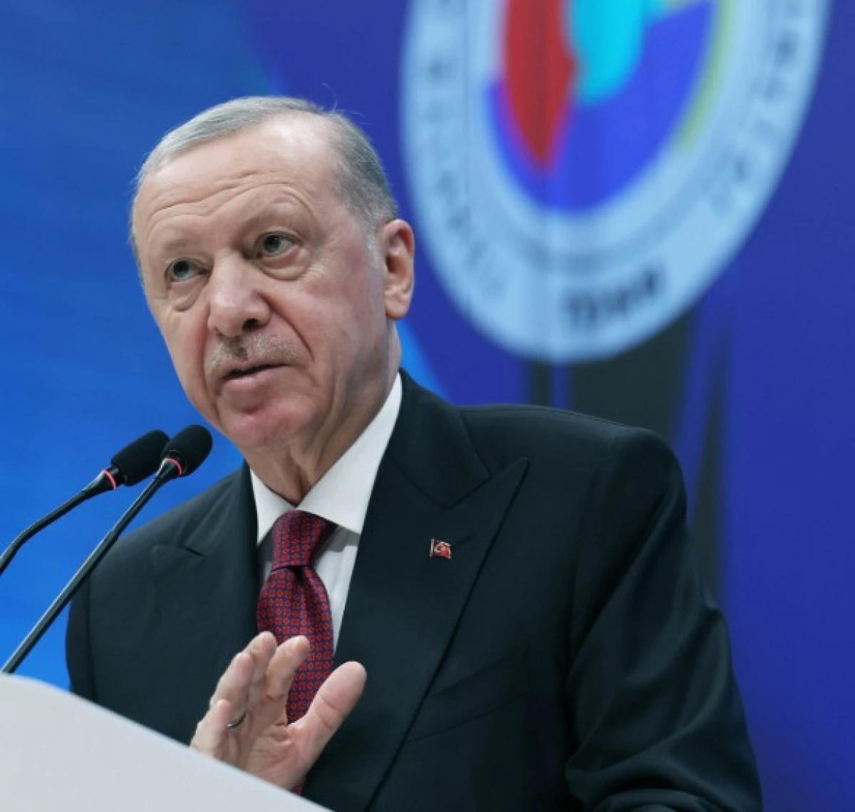 Cumhurbaşkanı Erdoğan: Resmi dilimiz tartışma konusu değildir
