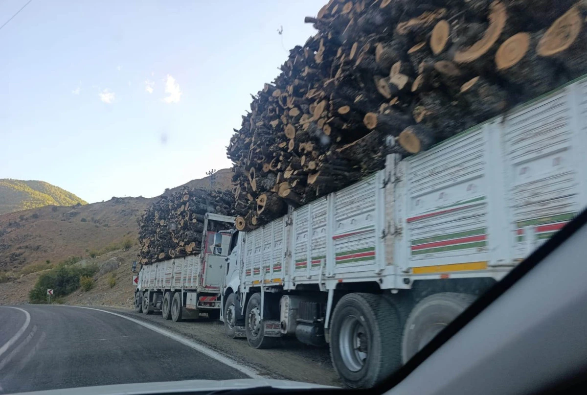 Dorşin Dağı'nın oksijen damarları kesilmeye devam ediyor