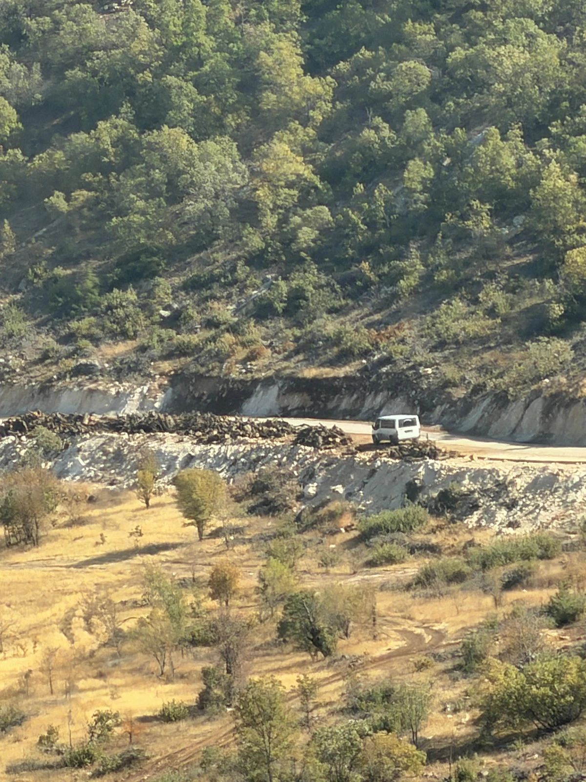 Şırnak'taki orman kıyımı Siirt'e kaydırıldı